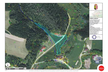 Landwirtschaftliche Nutzfläche (Wiese und Wald) zu verkaufen