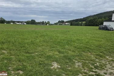 Attraktives Baugrundstück für Ihr Eigenheim oder als Geldparkplatz !