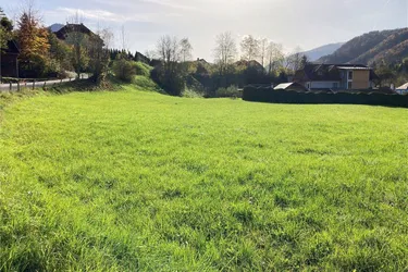 Expose Weyer (OÖ) - unbebautes Baugrundstück ca. 2.400 m² zu kaufen