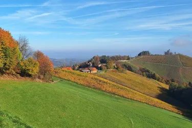 ehemaliger Gutshof mit traumhaften Blick an der südsteirischen Weinstraße