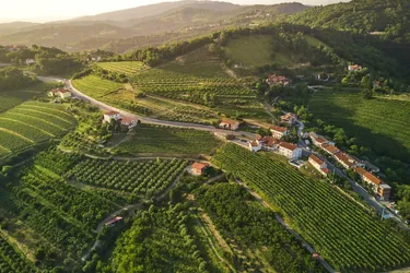 Außergewöhnliches Weingut Estate mit einer Villa von unvergleichlicher Schönheit