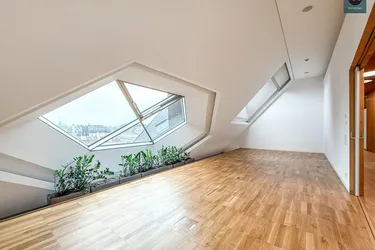 Toplage! Repräsentative Büroflächen im DG eines Palais an Topadresse nahe Freyung &amp; Herrengasse! Klimatisiert!