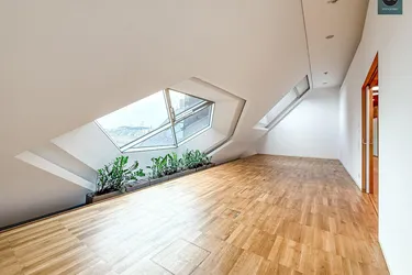 Bestlage! Repräsentative Büroflächen im DG eines Palais an Topadresse nahe Freyung &amp; Herrengasse! Klimatisiert!