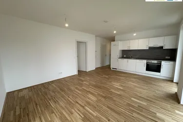 Stadthaus zum Fluss! - ca. 67 m² + Logia