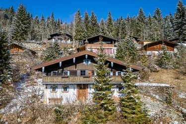 Historisches Chalet im Heutal - Unken