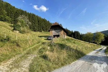 Waldflächen in Södingberg