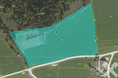 2 ha landwirtschaftlicher Grund am Petersberg bei Haus im Ennstal