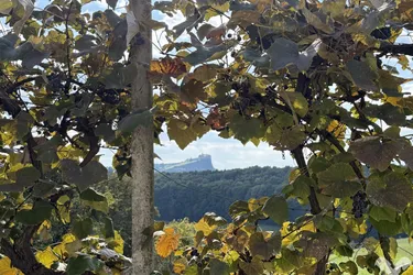 Ein Platz zum Ankommen- mit Blick auf die Riegersburg