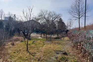 Expose SELTENE RARITÄT - Gartengrundstück mit Obstbäumen und Weinreben (KEIN BAUGRUND) in Baden