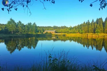 RARITÄT - SEEHAUS IN EINZELLAGE - EIN TRAUM FÜR ANGLER UND NATURLIEBHABER!