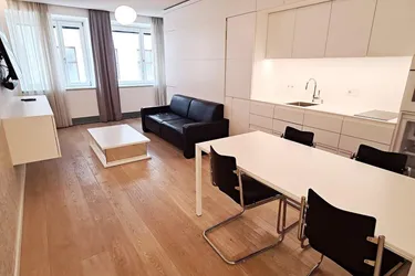 STEPHANSPLATZ-NÄHE, möbliertes 35 m2 Apartment, 1 Zimmer, Kochnische, Duschbad, Parketten, 3. Liftstock, Rotenturmstraße