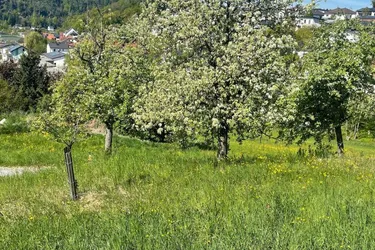 Traum-Bauland in Walding: Zentrumslage trifft unverbaubare Weitblick-Panoramalage...
