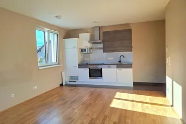 Grünauerstr.18: Schöne, gemütliche 2-Zimmerwohnung mit großem Balkon im 2.Liftstock, 53,25m2 WNFL, ablösefreie Küche, Gemeinschaftsgarten,Parkplatz optional!