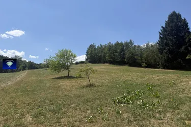 Bauernhof -Ihr ländliches Paradies zum Leben und Wohlfühlen mit knappe 10.000m² Grund ideal für Tierhaltung-10078