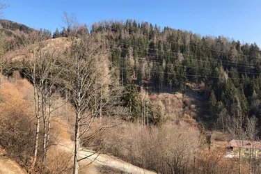 8753 Fohnsdorf - Waldgrundstück