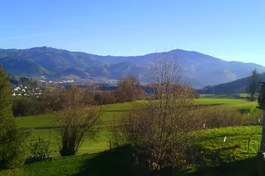8605 Kapfenberg-Pogier - sonniges Baugrundstück, ideal für Wochenendnutzung
