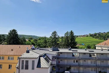 NEUER PREIS - Barrierefreie und sympathische Wohnung mit Außenfläche und Weinbergblick