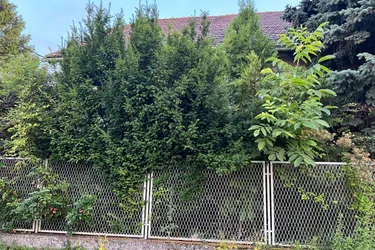 ABBRUCH - NEUBAU - GRÜNRUHELAGE