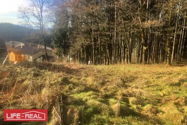 Am Wald grenzendes Baugrundstück