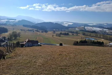Traumhaftes Grundstück mit einer Größe von 22.726 m² bei Fladnitz an der Teichalm zu kaufen !
