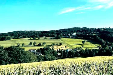 60.000 m² Areal mit großem Altbestand und Sonderwidmung