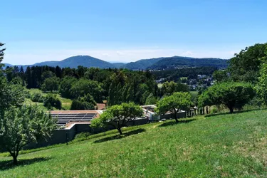 Ein Juwel in Aussichtslage – exklusives Baugrundstück in nobler Andritzer Villengegend