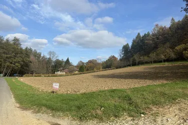 Großzügiges 4.069m² großes, sonniges Baugrundstück