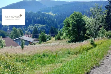 Land- und Forstwirtschaftliches-Grundstück in Steinhaus am Semmering – nur 20.500 €!