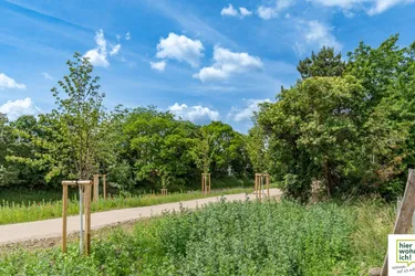 Im Grünen am Liesingbach: Neu sanierte 2-Zimmerwohnung