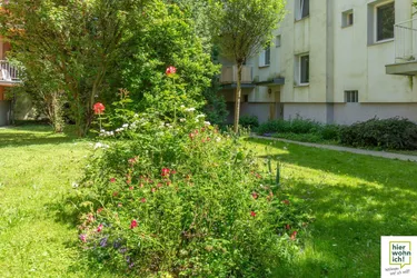 Grünruhelage: 2 Zimmer Südwohnung in Wien Mauer