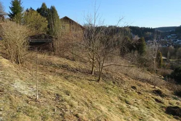 Baugrund mit 1094m²