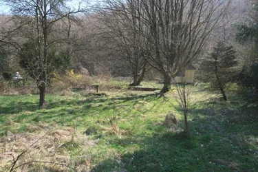 Grundstücke mit Gesamtfläche 1.982m²