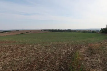 Landwirtschaftliche Grundstücke (Ackerbau) in Höbersbrunn