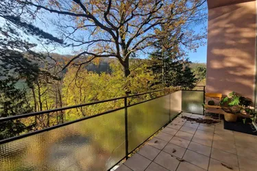 PÖTZLEINSDORFER PARK - LOFTARTIGE ARCHITEKTENWOHNUNG - TRAUMHAFTE LAGE - GRÜNBLICK - 5 ZIMMER + grosser BALKON