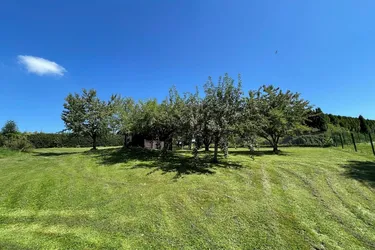 Sonniger Baugrund in Zentrumslage von Eugendorf