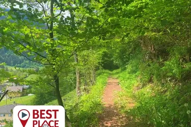 Wald in Ortsnähe mit Wasserfall