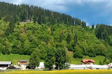 Wald in Ortsnähe mit Wasserfall