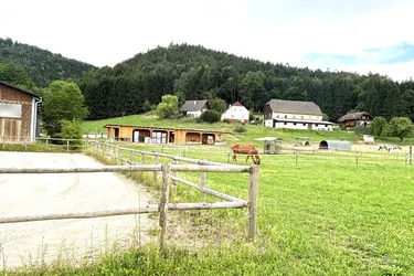 KLEINLANDWIRTSCHAFTLICHES JUWEL! CA.10 HEKTAR WALD! WIESEN! BETRIEBSFLÄCHEN!
