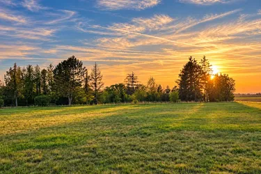 Ihr Stück Freiheit im Grünen – 1.140 m² für neue Wohnideen!