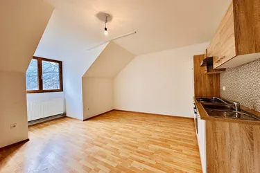 Wohnung mit Garten - 6 Minuten von Ternitz. Mit eigener Bushaltestelle!