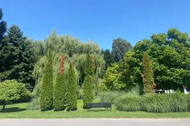 Entzückendes Ferienhaus am Römersee