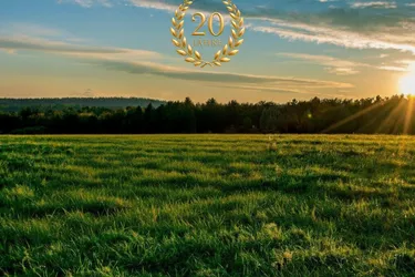 Ackerland in der Region 2620 – Ideale landwirtschaftliche Nutzfläche zu kaufen. Zum Verkauf steht eine attraktive Ackerfläche mit einer Gesamtgröße von ca. 4,04 Hektar in guter landwirtschaftlicher Lage.
