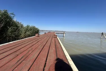 Seehaus mitten im UNESCO- Weltkulturerbe Neusiedler See