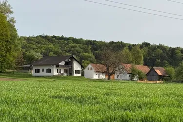Eindrucksvolle Hofstelle in Alleinlage – Idyllisches Ensemble in der Südoststeiermark