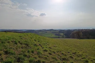 Über 7.000m² Bauland in einer Grünlage der schönsten Natur-Regionen Österreichs – erhöht gelegen mit 360 Grad Panorama-Rundumblick