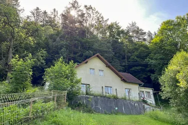 [06150] Wald Wiesen Bach - Haus in Bromberg/Schlatten