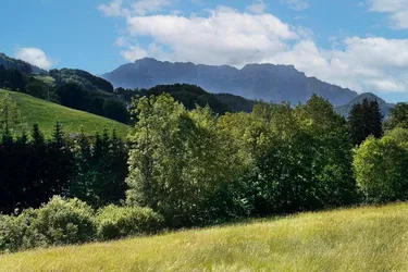 Hallein: Baugrundstück mit Panoramablick in Bad Dürrnberg zu verkaufen