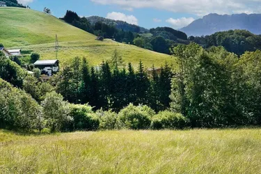 Ihre Gelegenheit: Baugrundstück mit Panoramablick in Hallein-Bad Dürrnberg zu verkaufen