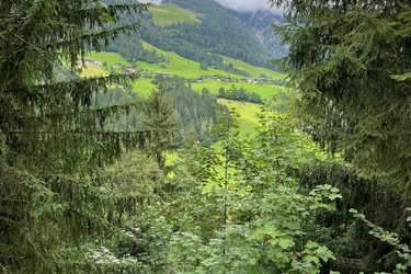 WALD - Bereich Reith im Alpbachtal &amp; Alpbach