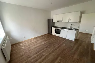 Sanierte 1,5-Zimmer-Wohnung in Trofaiach mieten